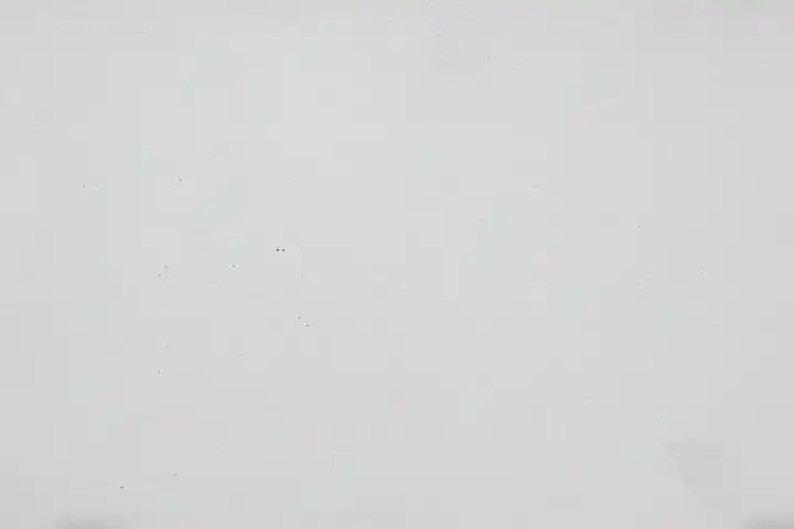 Cream White